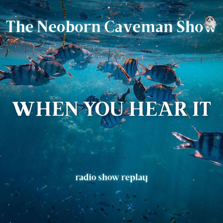 cover art for When You Hear It (radio show replay)