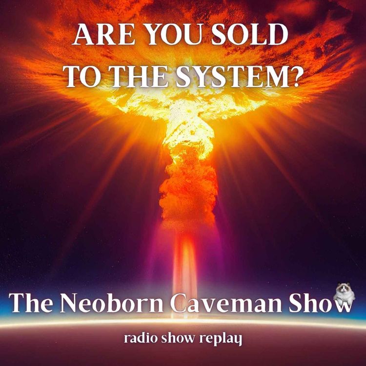 cover art for Are You Sold to the System? (radio show replay)