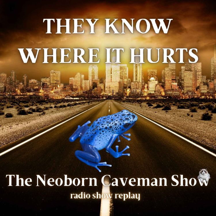 cover art for They Know Where It Hurts (radio show replay)