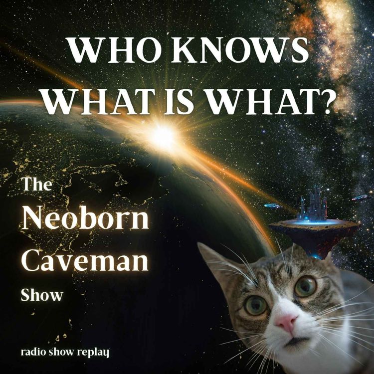 cover art for Who Knows What Is What (radio show replay)