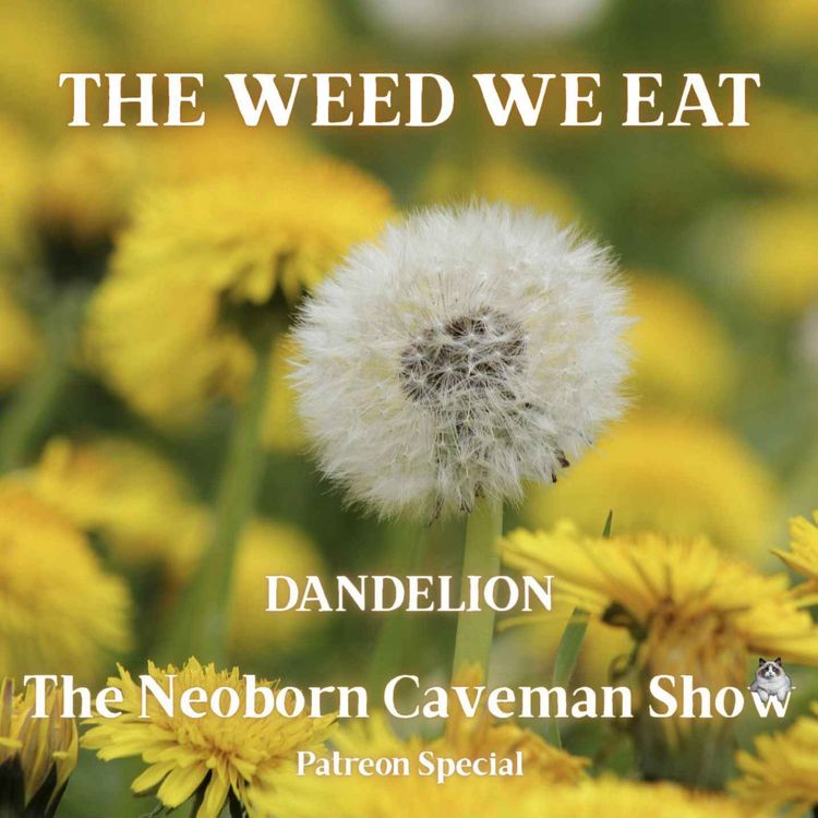 cover art for The Weed We Eat (Dandelion) - Patreon Special