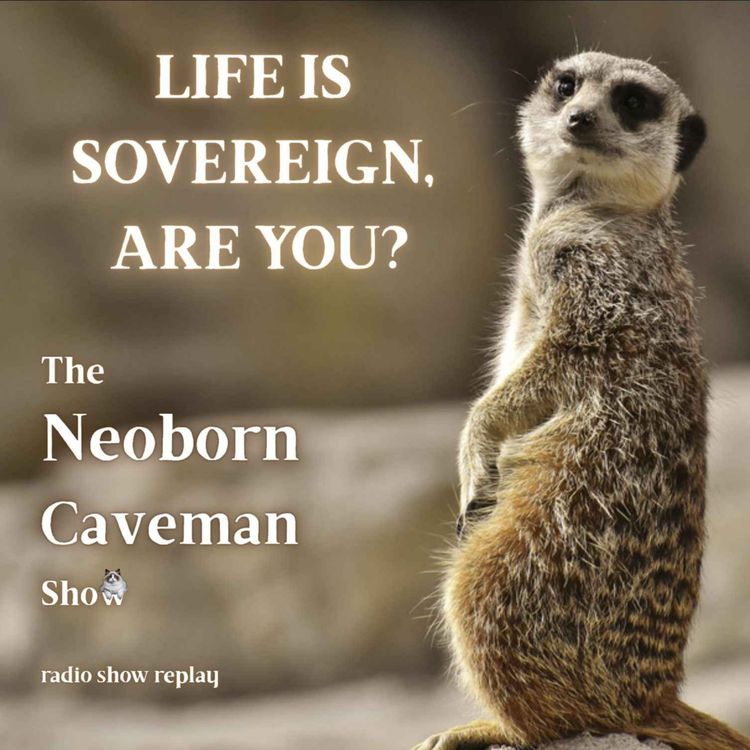 cover art for Life Is Sovereign, Are You? (radio show replay)