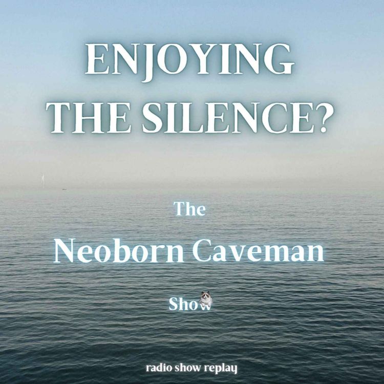 cover art for Enjoying the Silence? (radio show replay)