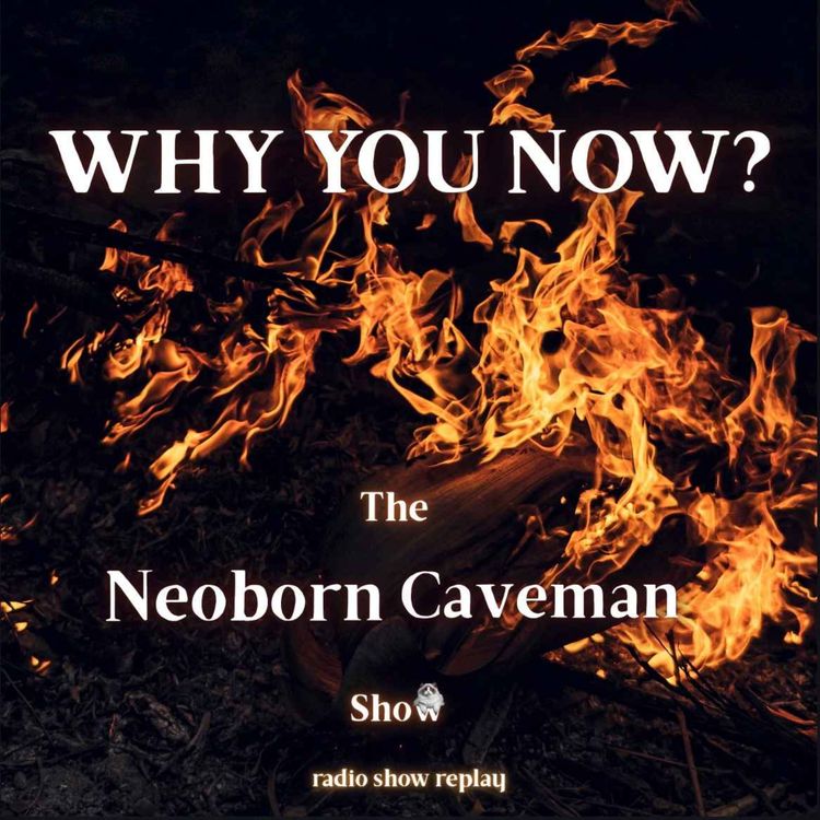cover art for Why You Now? (radio show replay)