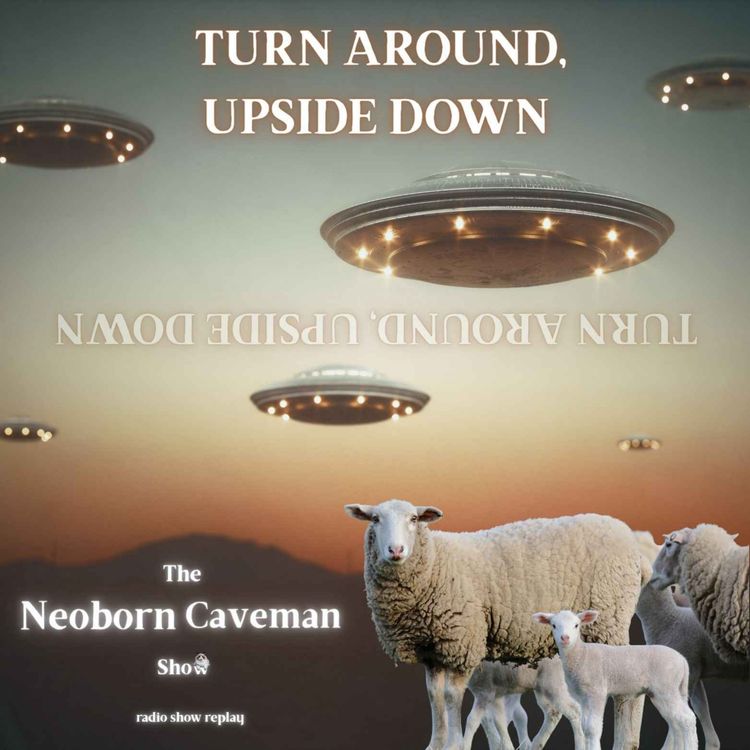 cover art for Turn Around, Upside Down (radio show replay)