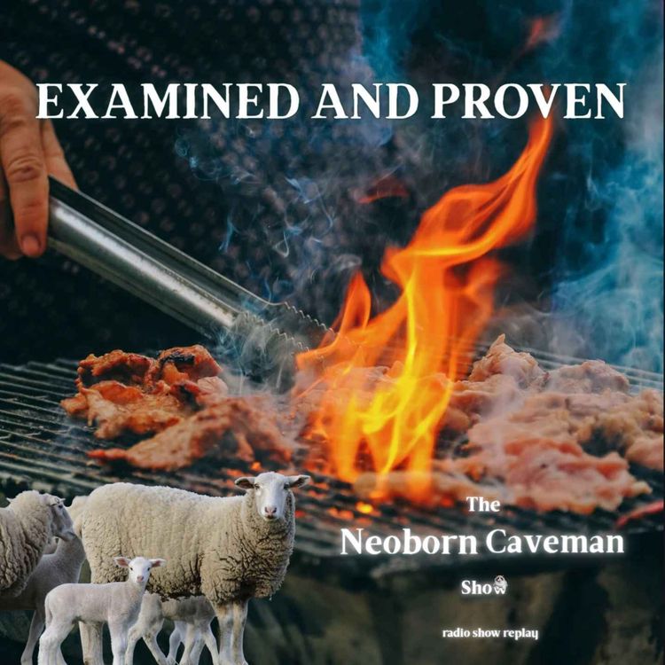cover art for Examined and Proven (radio show replay)