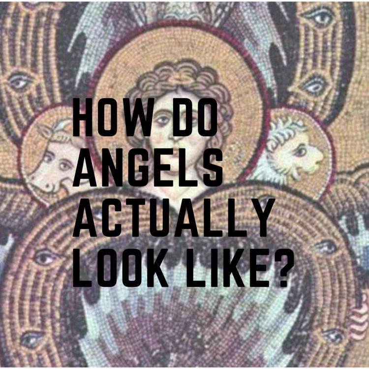 cover art for HOW DO ANGELS ACTUALLY LOOK LIKE?