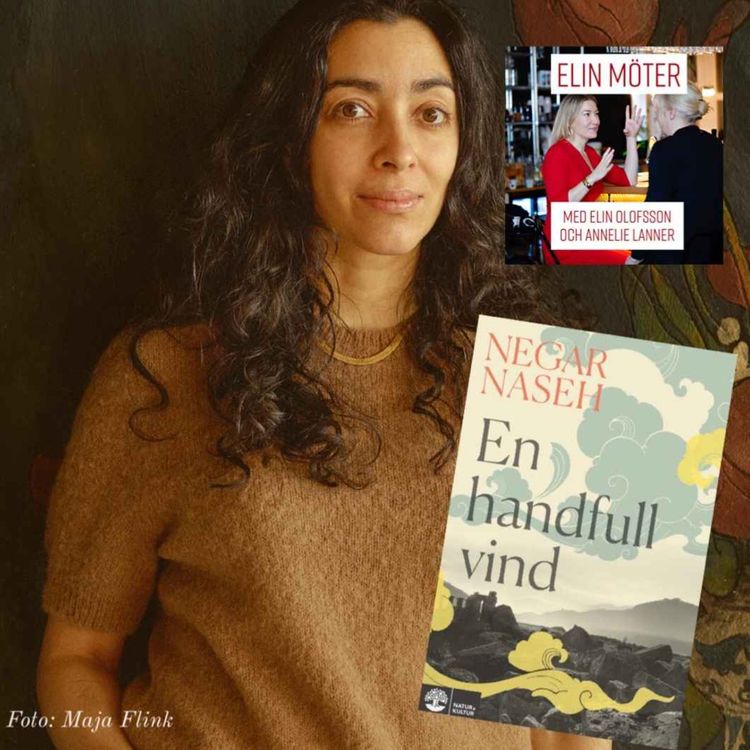 cover art for Elin möter Negar Naseh