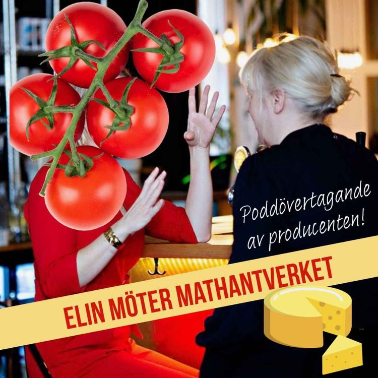 cover art for Elin möter Mathantverket