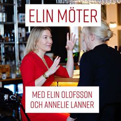 cover art for Elin möter