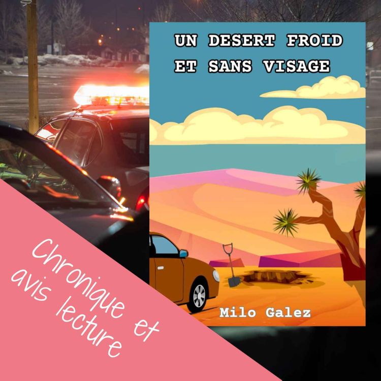 cover art for Un Désert Froid et Sans Visage - Milo Galez