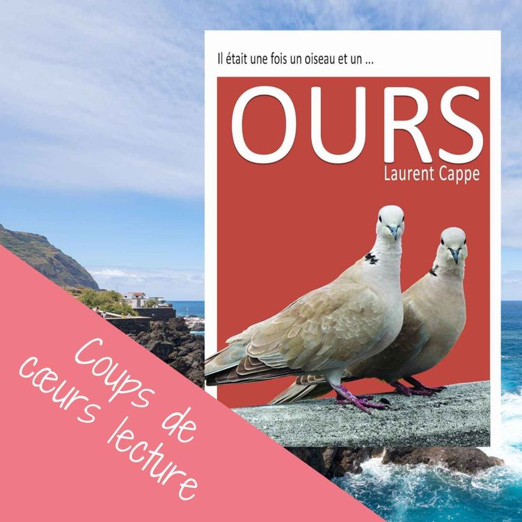 cover art for 🎙️ PODCAST LITTÉRAIRE : OURS de Laurent Cappe