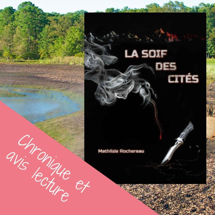 cover art for La soif des cités de Mathilde Rochereau