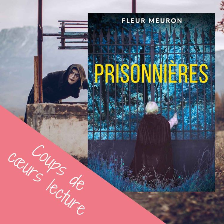 cover art for Prisonnières de Fleur Meuron