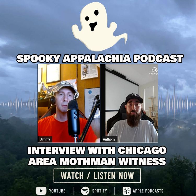 cover art for Chicago Area Mothman Witness Speaks Out (An Eyewitness Interview)