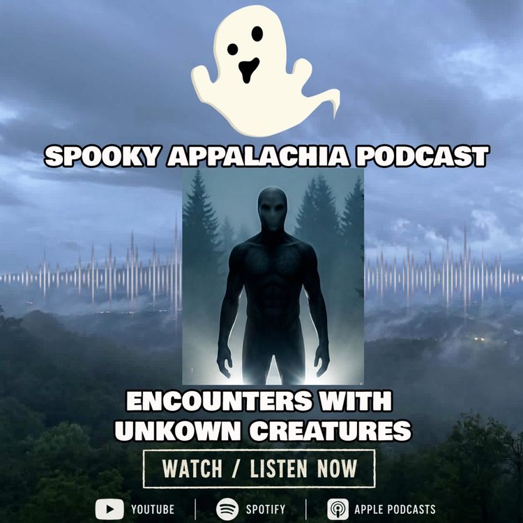cover art for 3 Terrifying True Encounter Stories With Unknown Creatures in Appalachia