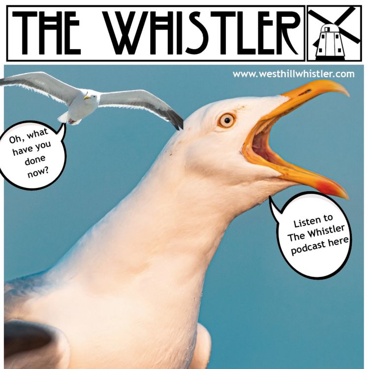 cover art for The Brighton Whistler