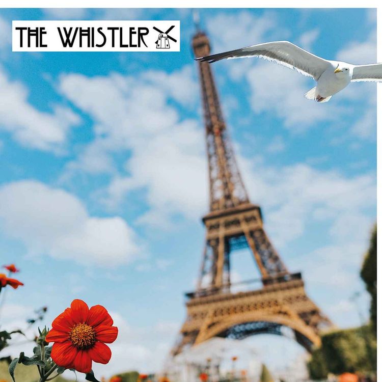 cover art for Fabrice Camus and French Club