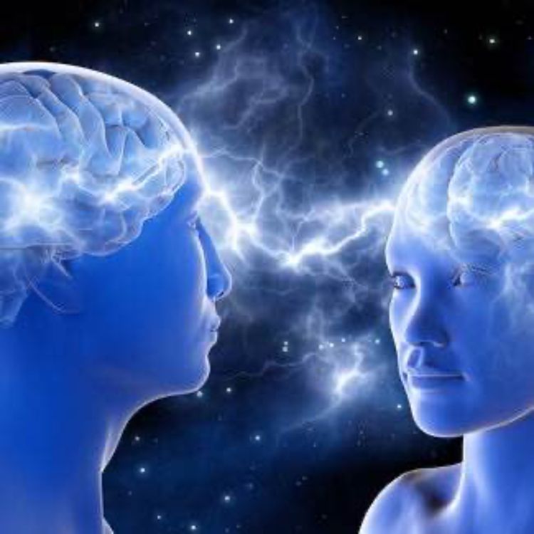 cover art for Aprender la empatía