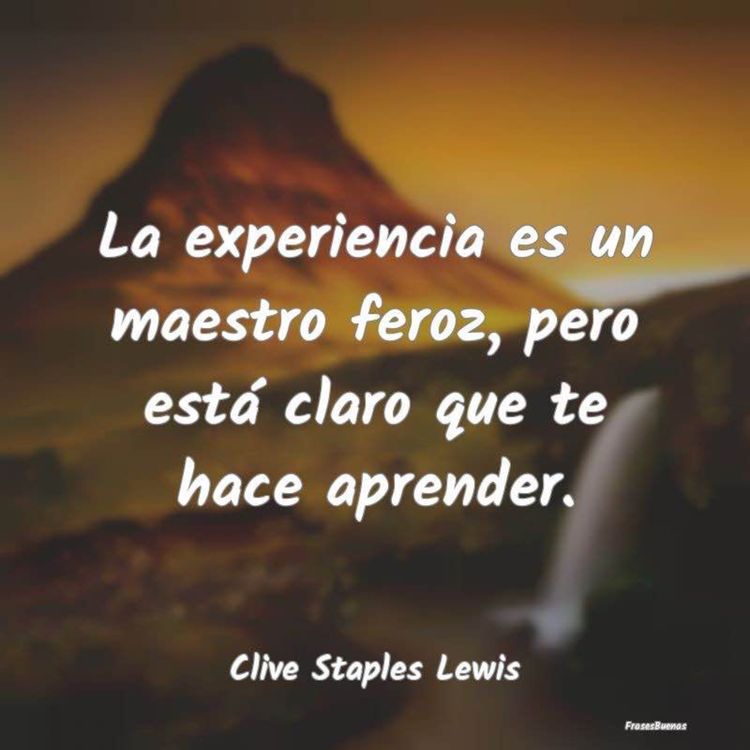 cover art for ¿Es posible el aprendizaje por la experiencia?