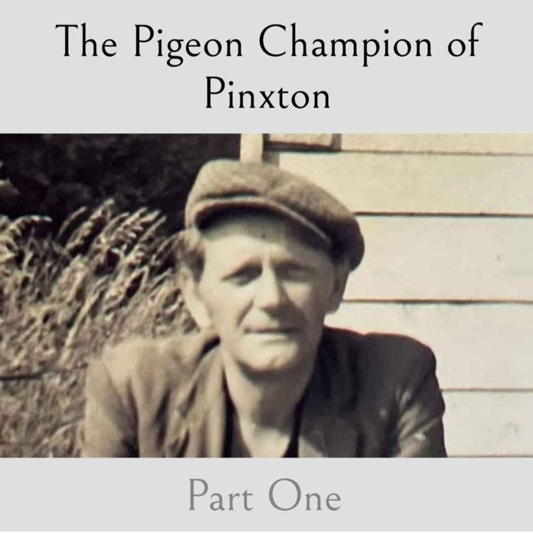 cover art for The Pigeon Champion of Pinxton - Part One