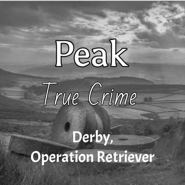 cover art for Derby - Operation Retriever