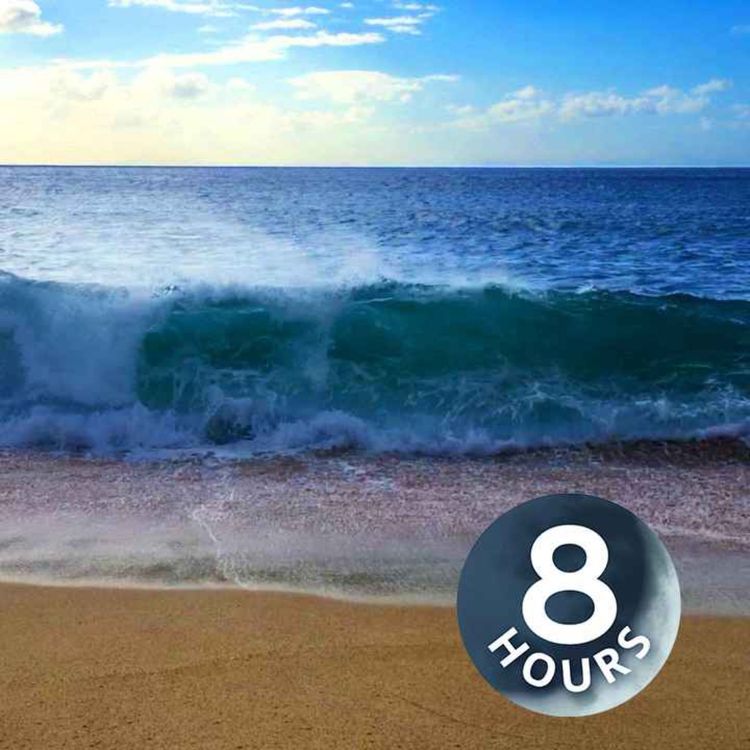 cover art for Relajación con las olas del mar| Ruido blanco relajante para dormir (8 horas)
