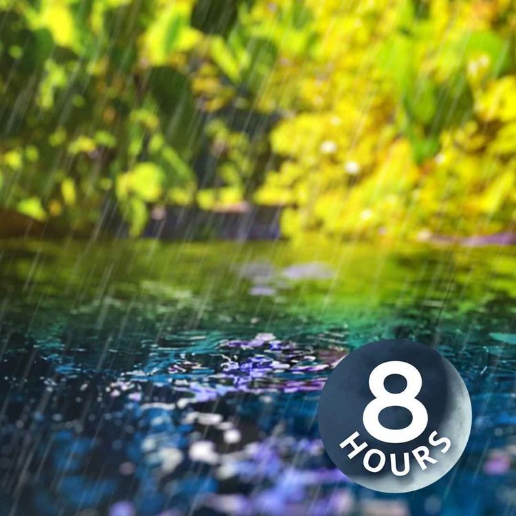 cover art for Sonidos de lluvia y arroyo apacible | Duerme, estudia o concéntrate con este ruido blanco (8 horas)