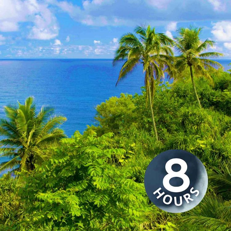 cover art for ¡Relajación total! Sonidos del océano en las playas de Hawái (8 horas)