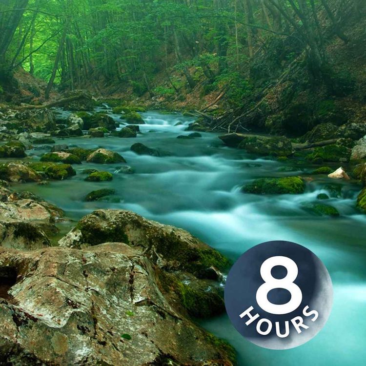 cover art for Sonidos de un arroyo en el bosque | Para reducir el estrés, relajarse o dormir (8 horas)