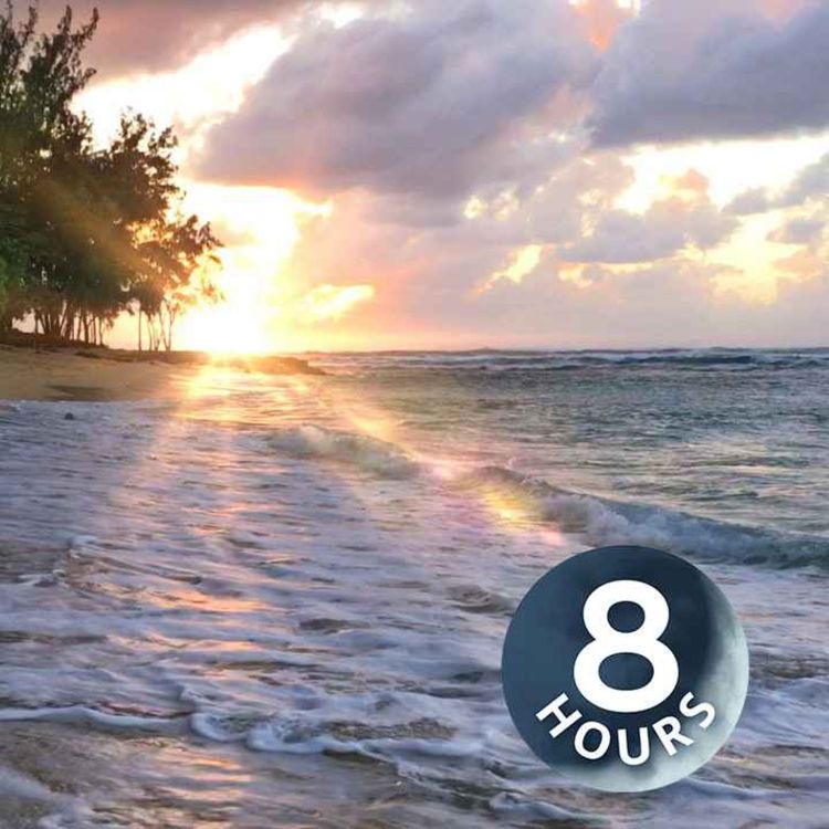 cover art for Ruido blanco de olas del océano de Hawái | Duerme, estudia o relájate con sonidos de la playa (8 horas)
