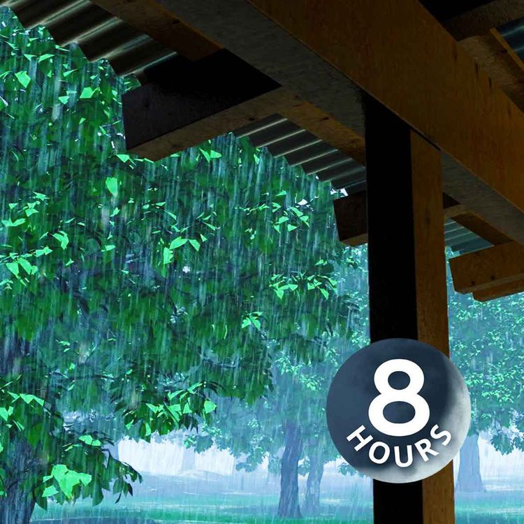 cover art for Sonidos de lluvia en un techo de metal | Duerme, estudia o concéntrate con este ruido blanco de tormenta (8 horas)