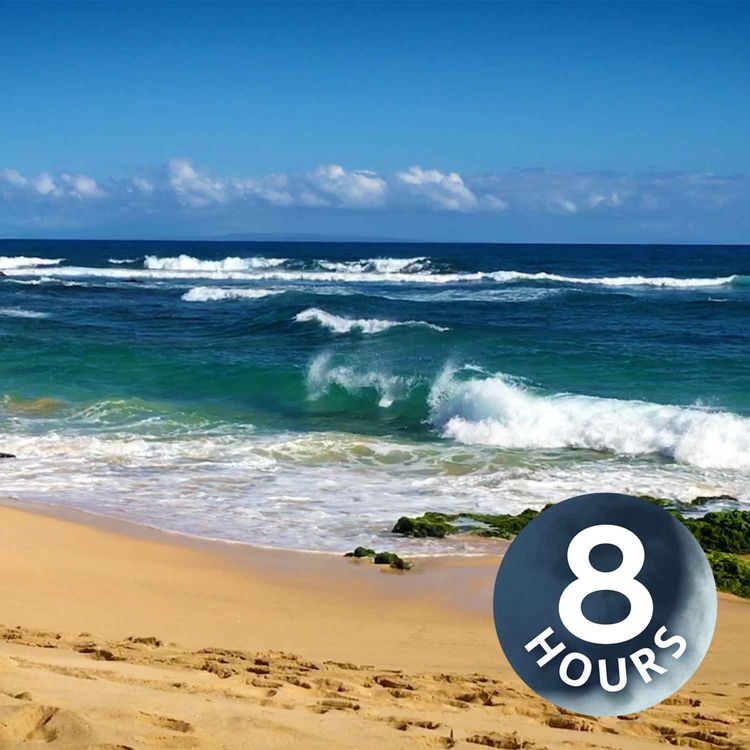 cover art for Ruido blanco del mar para dormir | Olas relajantes en la playa de Hawái (8 horas)