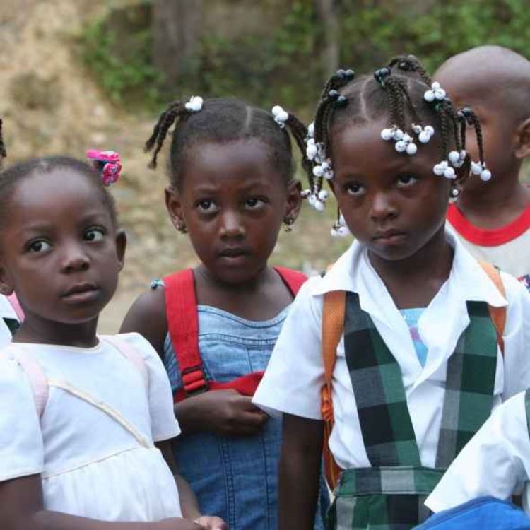 cover art for Políticas curriculares en tiempo de multiculturalismo