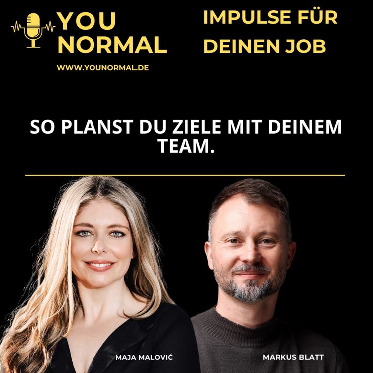 cover art for So planst Du Ziele mit Deinem Team (113)