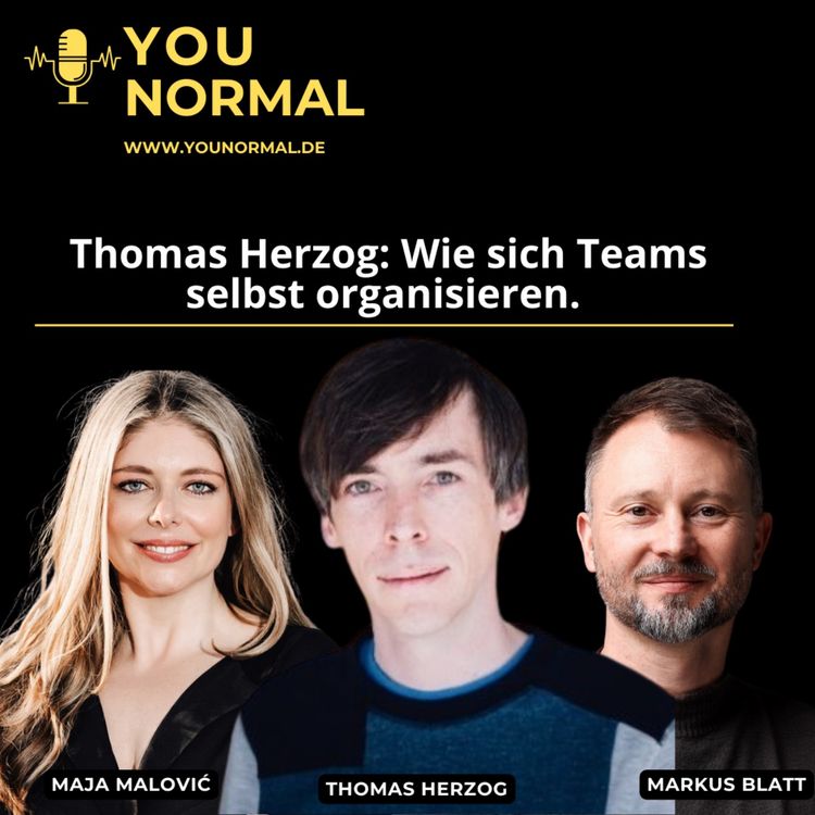 cover art for Thomas Herzog: Wie sich Teams selbst organisieren (124)