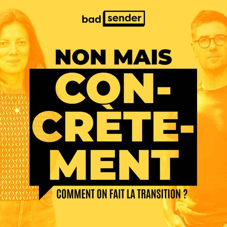 cover art for Comment transiter dans le secteur de la chaussure ? - Clément Fabries de Risole