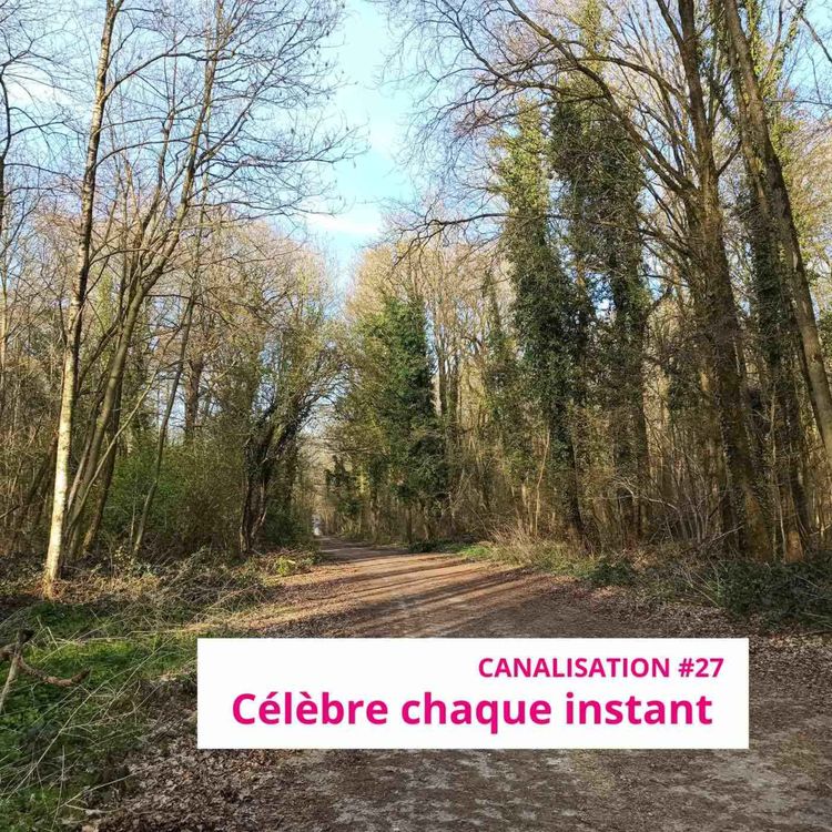 cover art for canalisation #27 : Célèbre chaque instant