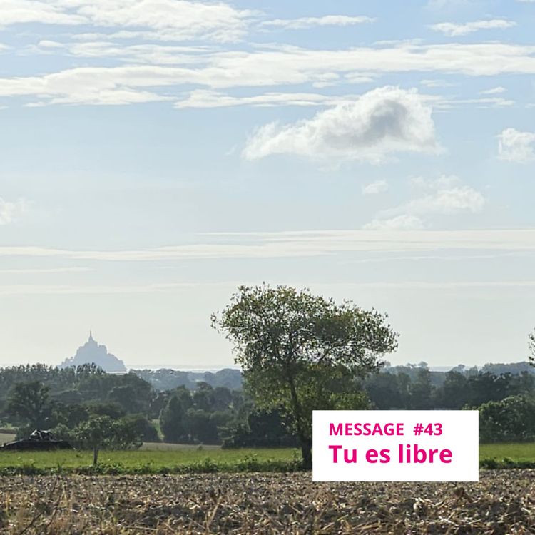 cover art for Message #43 : Tu es libre