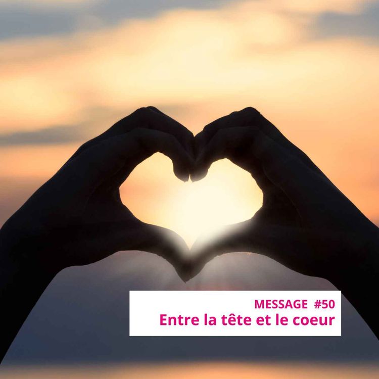 cover art for Message #50 : Entre tête et coeur