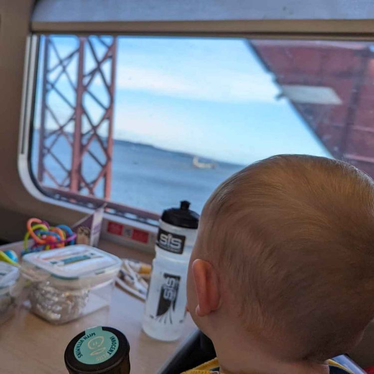 cover art for David Smith: Toddling with a lawn moor and rationality