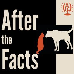 cover art for After the Facts