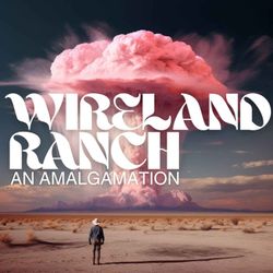 cover art for Wireland Ranch