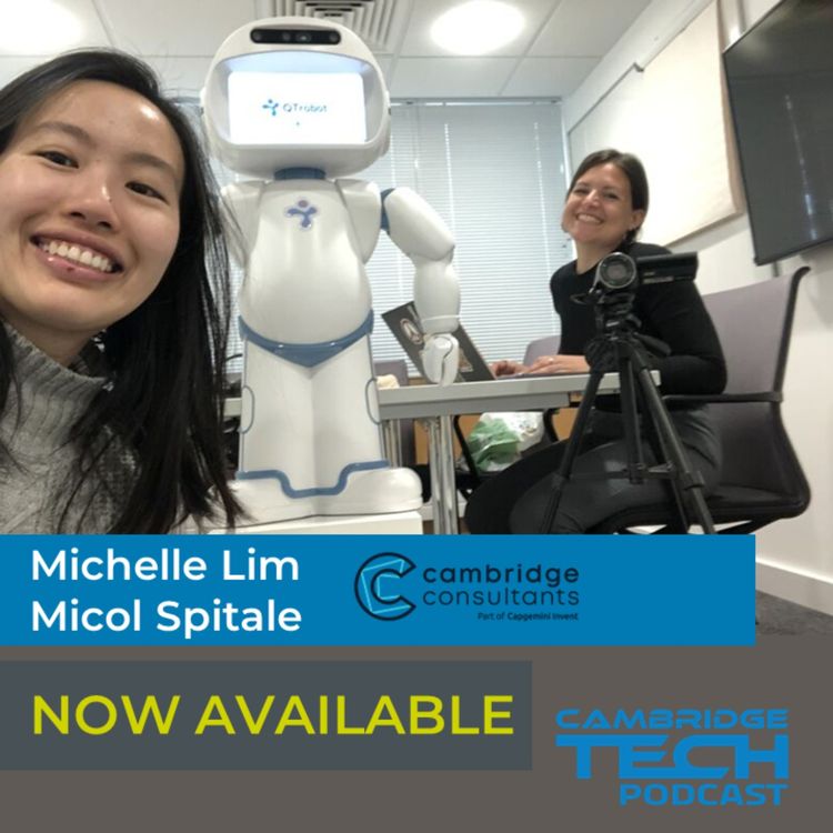 cover art for Using robots for mental wellbeing in a Cambridge Consultants collaboration