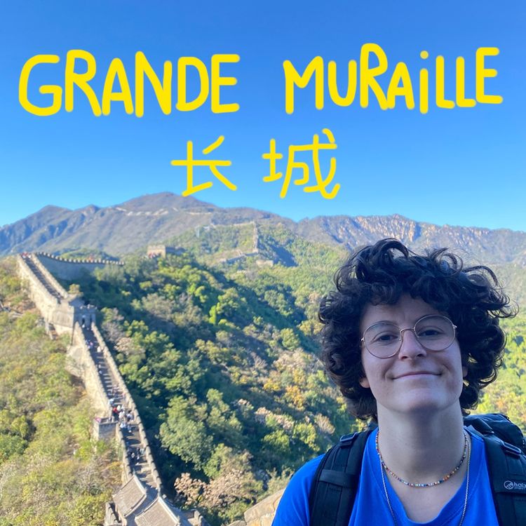 cover art for 6 - Je marche sur la grande muraille pétard