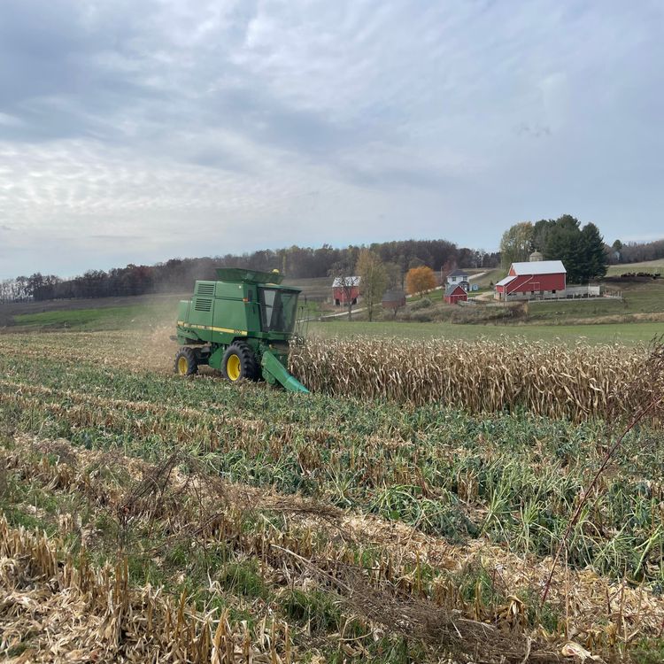 cover art for Grazing Cover Crops Interseeded into 60" Row Corn