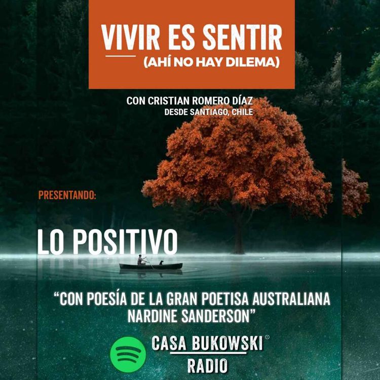 cover art for Lo Positivo