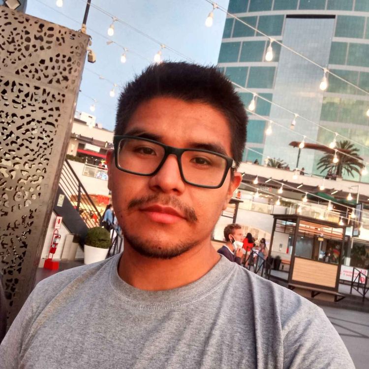 cover art for La búsqueda del silencio