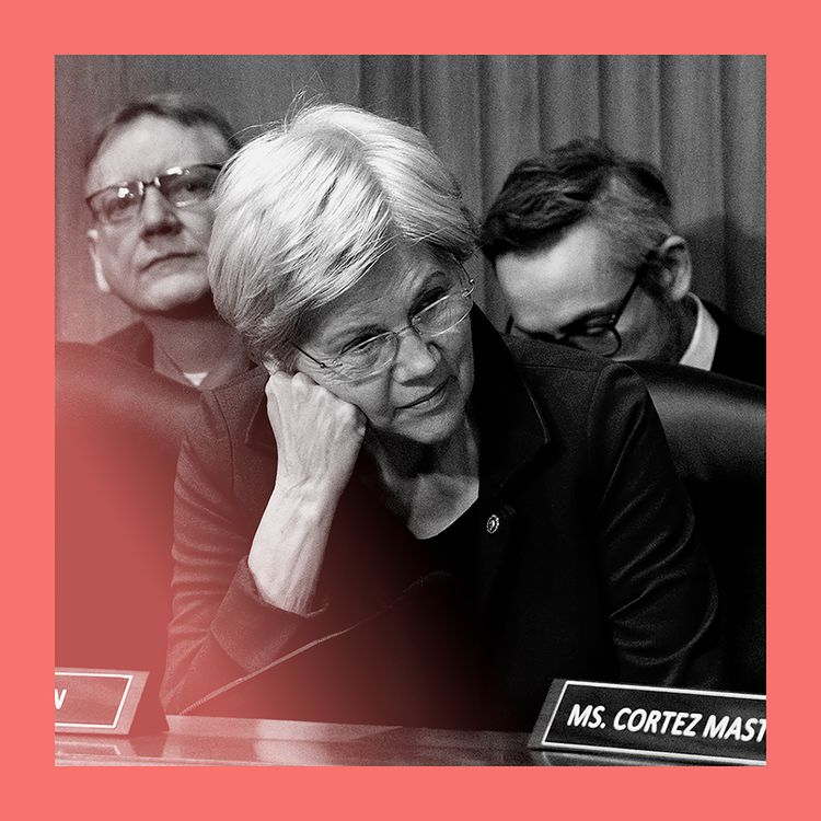 cover art for Disorganised chaos: why Democrats can’t stand up to Donald Trump