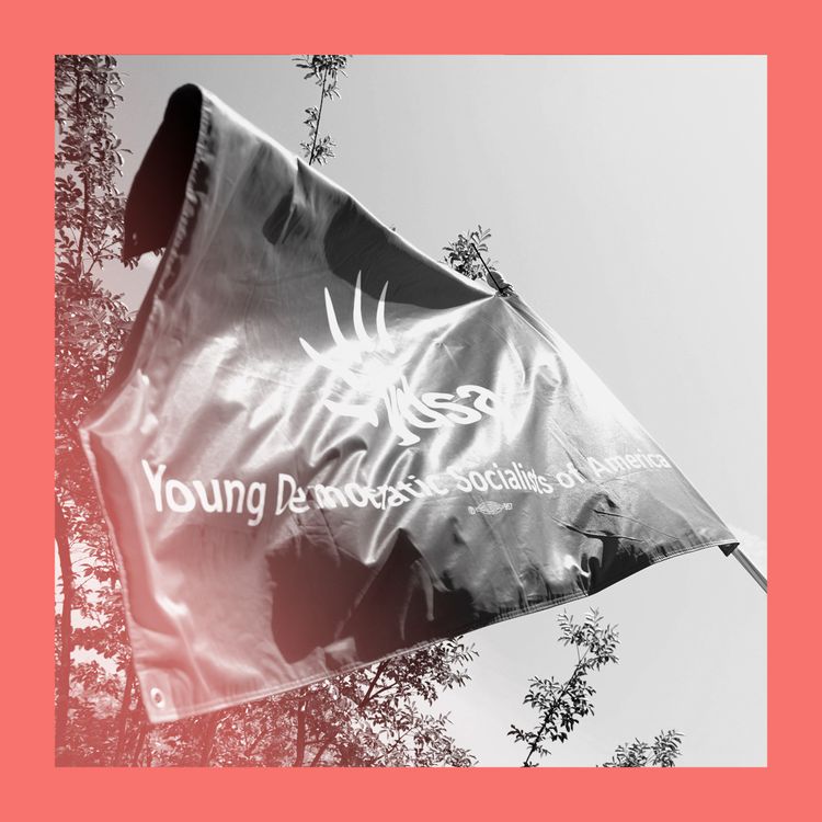 cover art for Blue scare: the rising Democratic Socialists